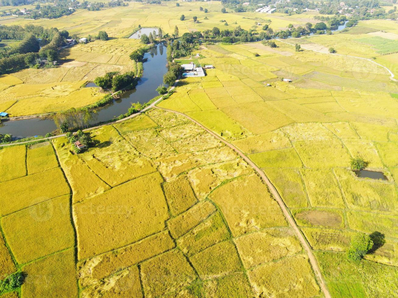 luchtfoto veld omgeving bos natuur agrarische boerderij achtergrond, rivier en boerderij boom bovenaanzicht rijstveld van bovenaf op het platteland in het oogstseizoen foto