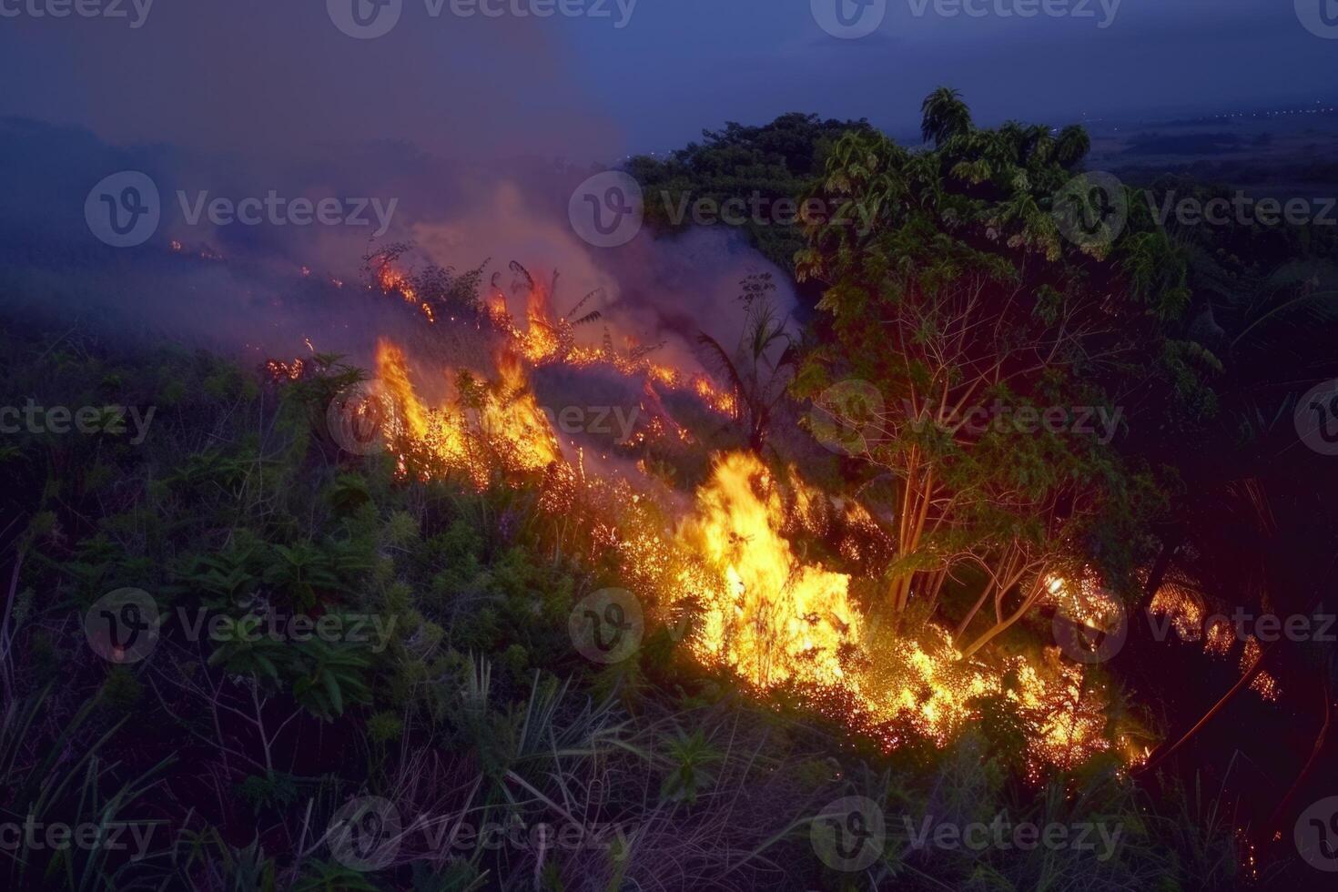 wild bos brand brandend Woud bomen ecologisch ramp rook antenne visie van helikopter Gevaar dood dieren schade risico uitbarsten verontreiniging tragedie foto