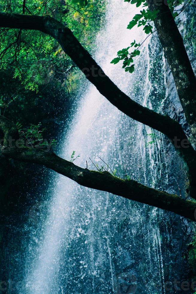 groene prachtige waterval in het groene bos in de jungle bestaat uit water foto