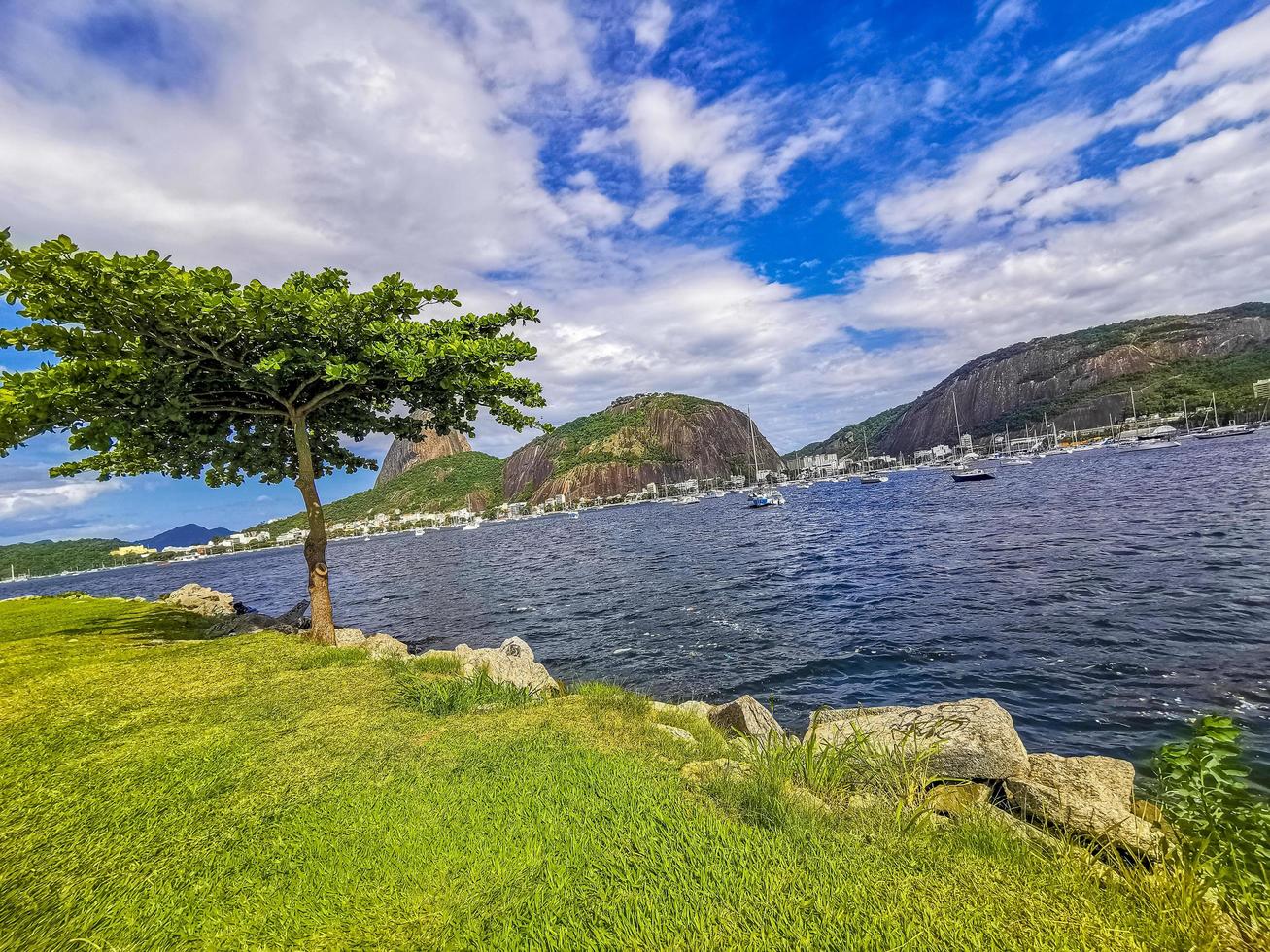 suikerbroodberg pao de acucar panorama rio de janeiro brazilië. foto