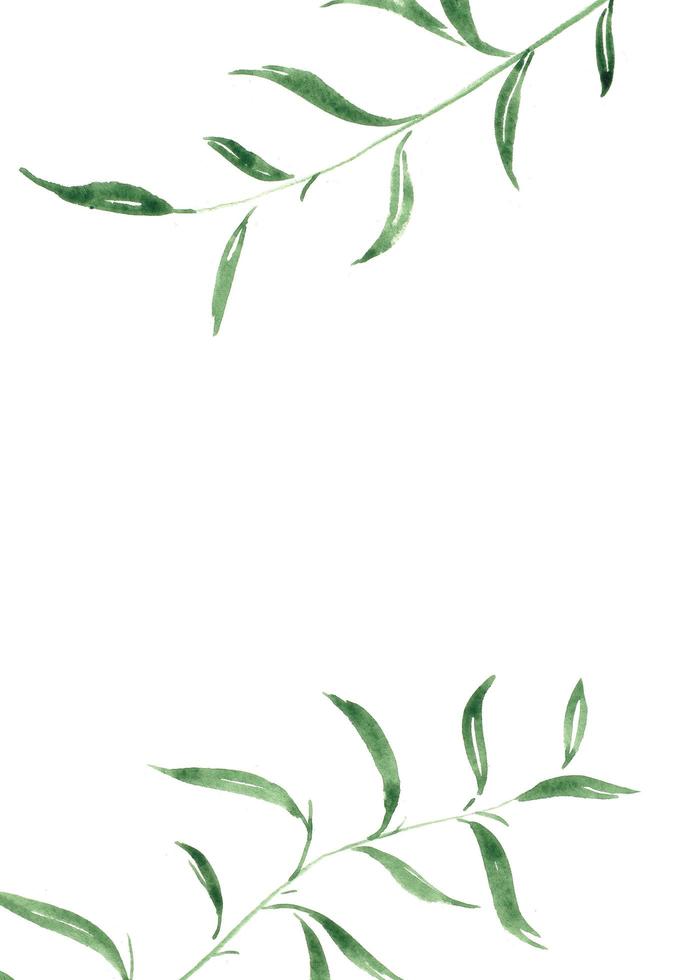 bruiloft sjabloon met abstracte achtergrond. vector achtergrond met groen blad en witte achtergrond. blad creatieve achtergrond met natuurlijke bladsamenstelling foto
