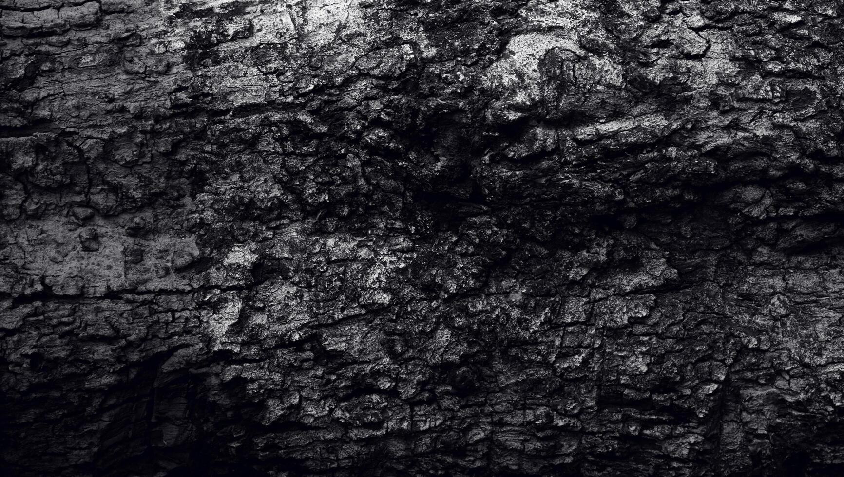 de schorstextuur met een spleetgat, het oppervlak van de boomstam in donkere kleur. de natuurlijke textuur van de bosbouw foto