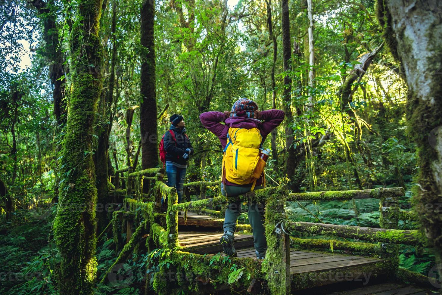 koppels reizen, ontspannen in de winter. genieten van wandelen wandelen reizen om de natuur in het regenwoud te bestuderen. bij de angka, chiangmai foto