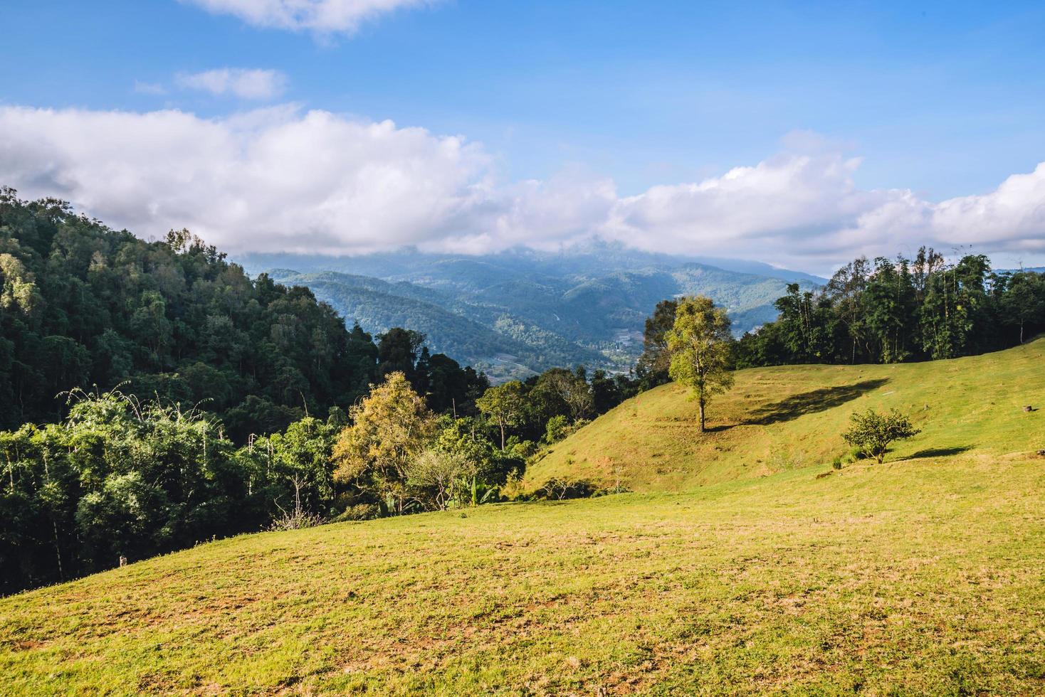 achtergrond mooi natuurlijk landschap op het berggezichtspunt. bij schapenboerderij doi pha tang in thailand foto