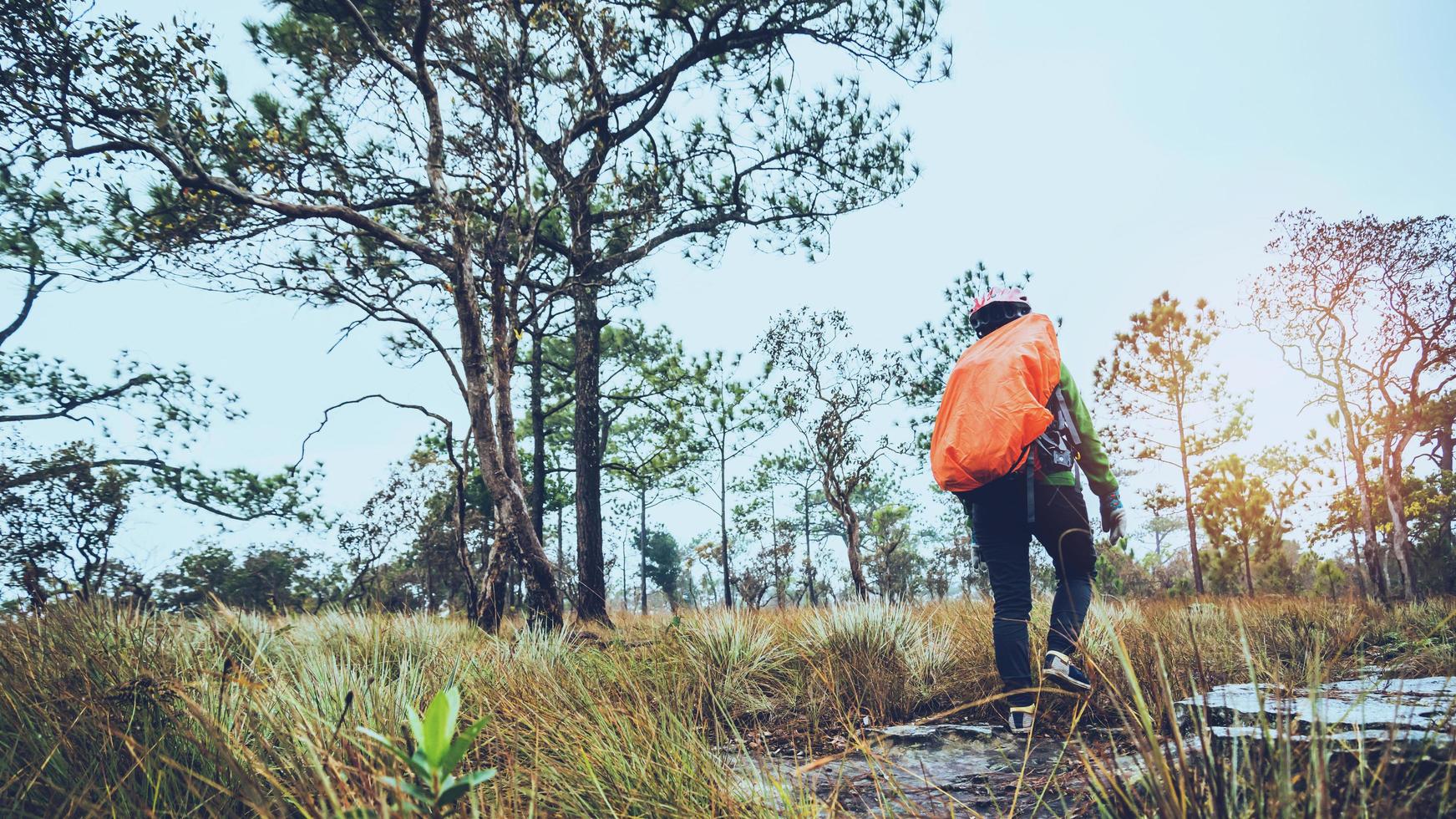 aziatische vrouwen reizen door de natuur. reizen ontspannen. rugzakwandeling in het bos. Thailand foto