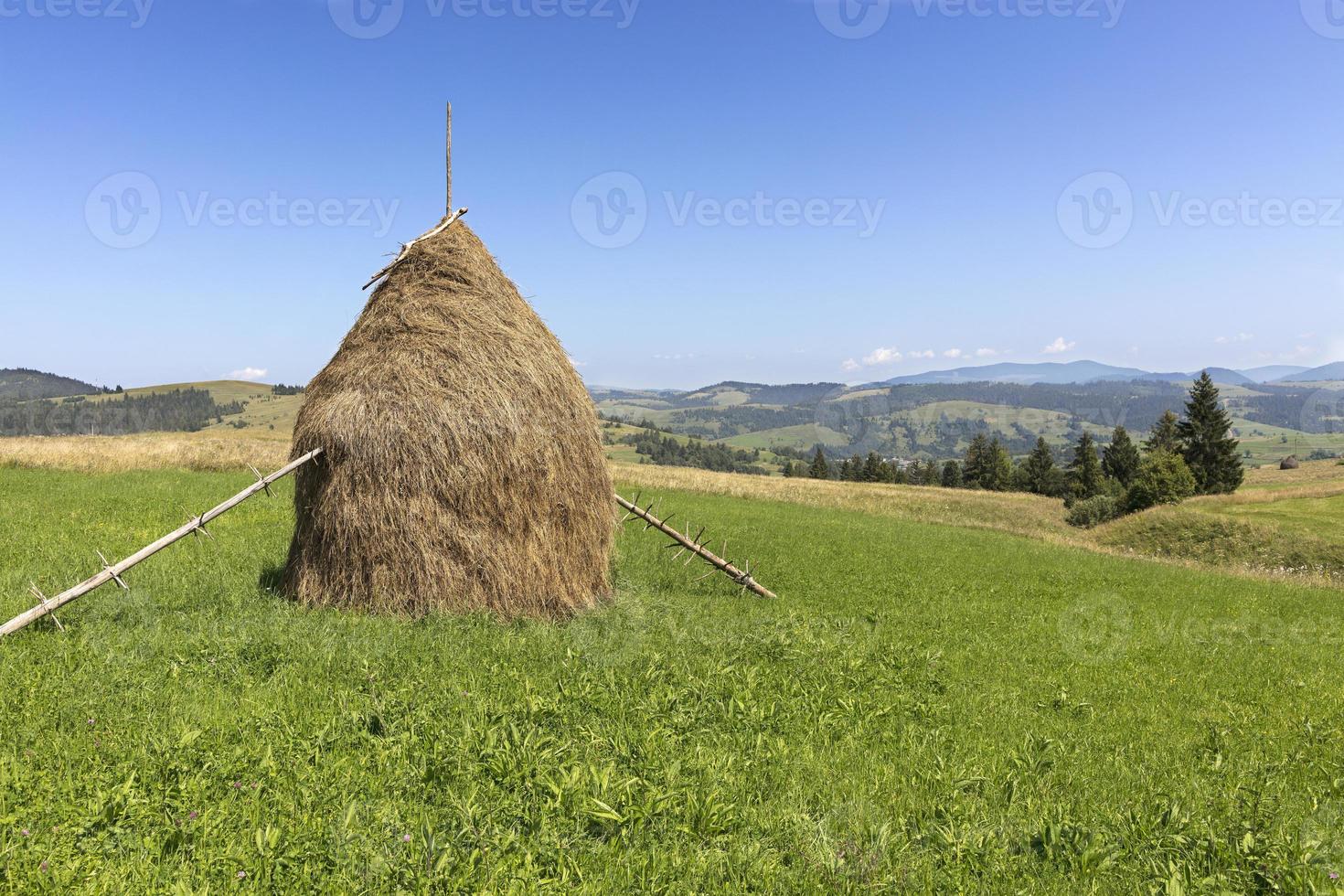 stapel hooi op een bergweide op een heuvel. foto