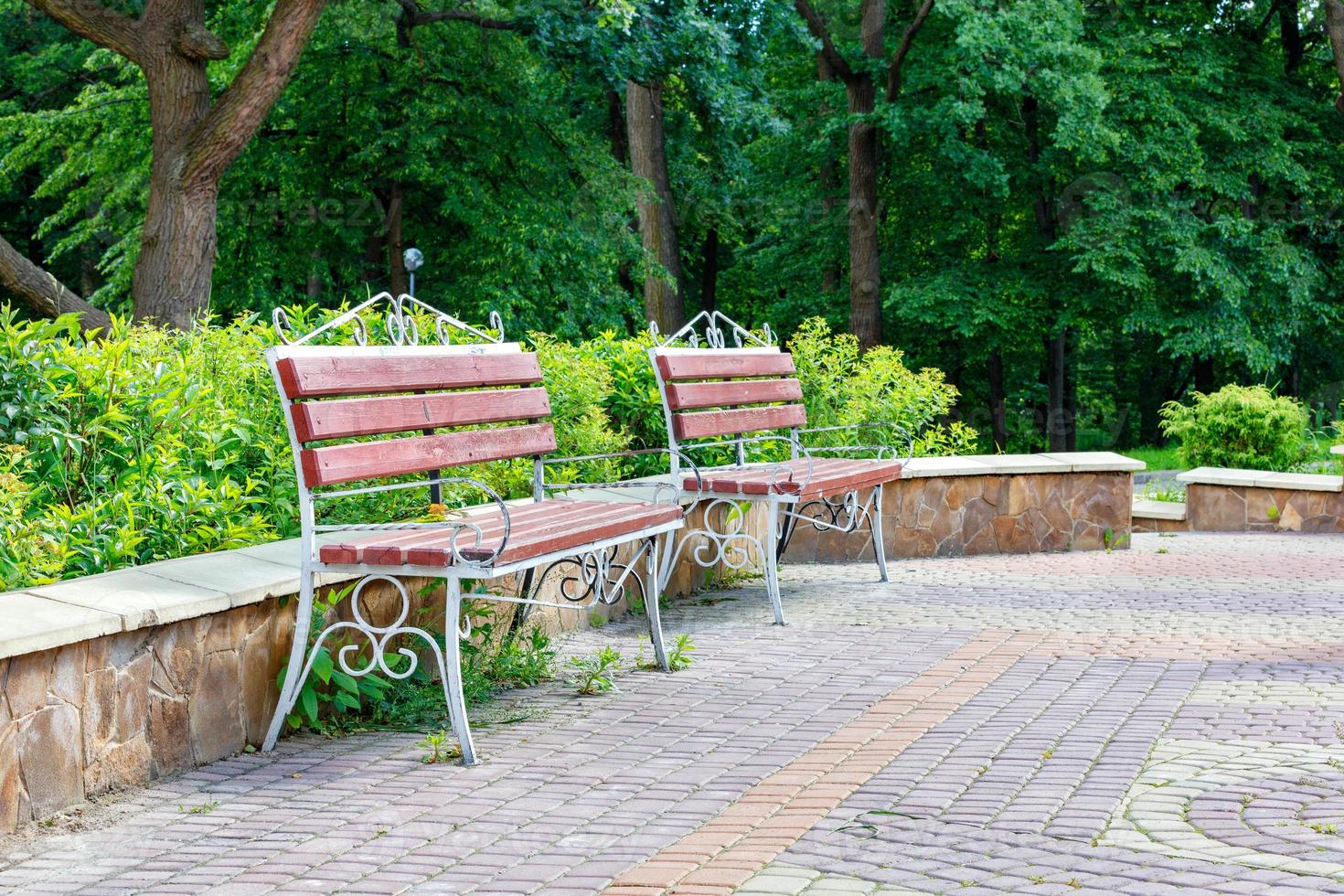 houten banken met metalen frame op een geplaveide pad in een prachtig oud park in de stralen van zacht licht. foto