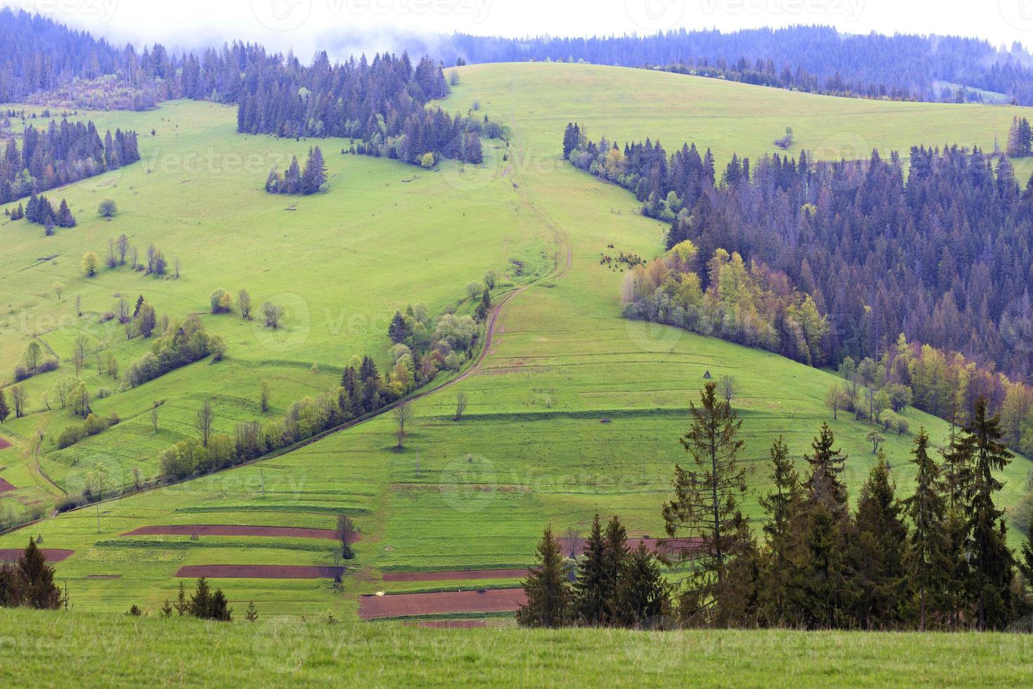 onverharde landweg slingert de helling van een groene, met gras begroeide berg op foto