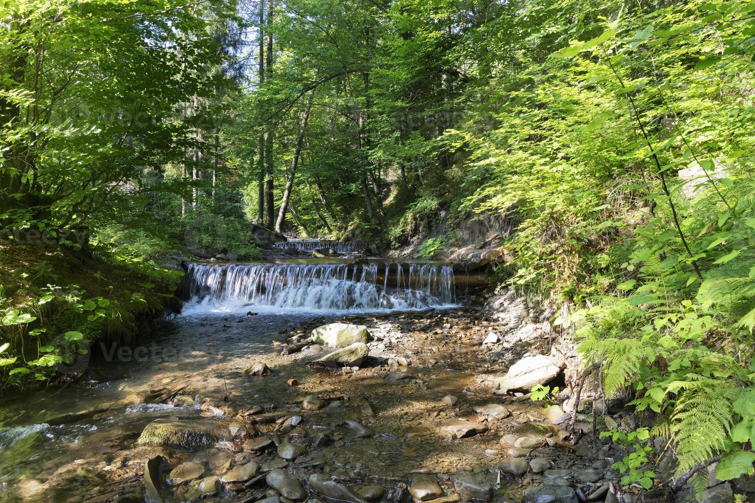 trapsgewijze waterval van een bergstroom in de karpaten foto