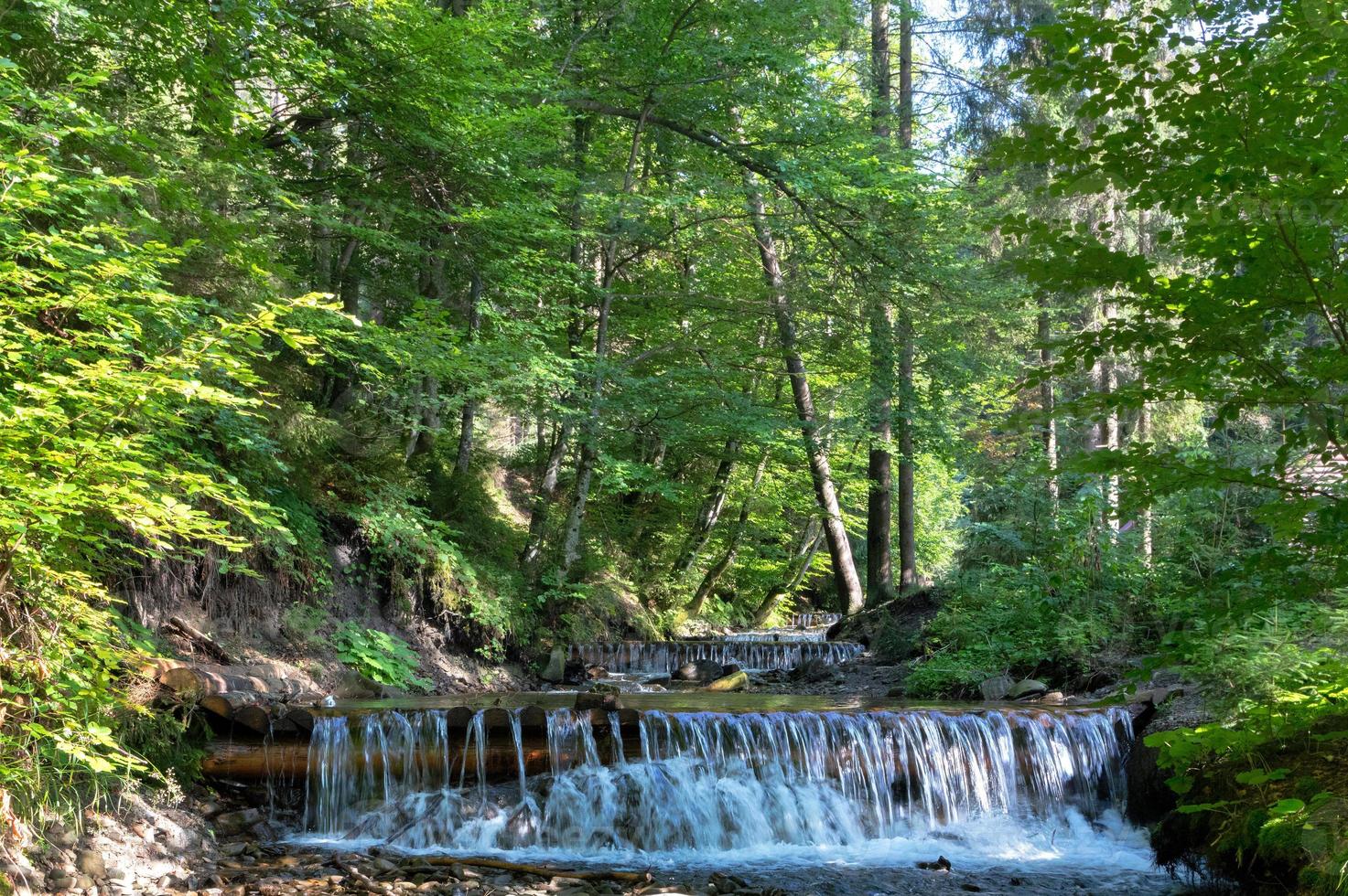 het prachtige water van een bergrivier glinstert in de stralen van het daglicht op een zonnige dag in het Karpatenwoud. foto