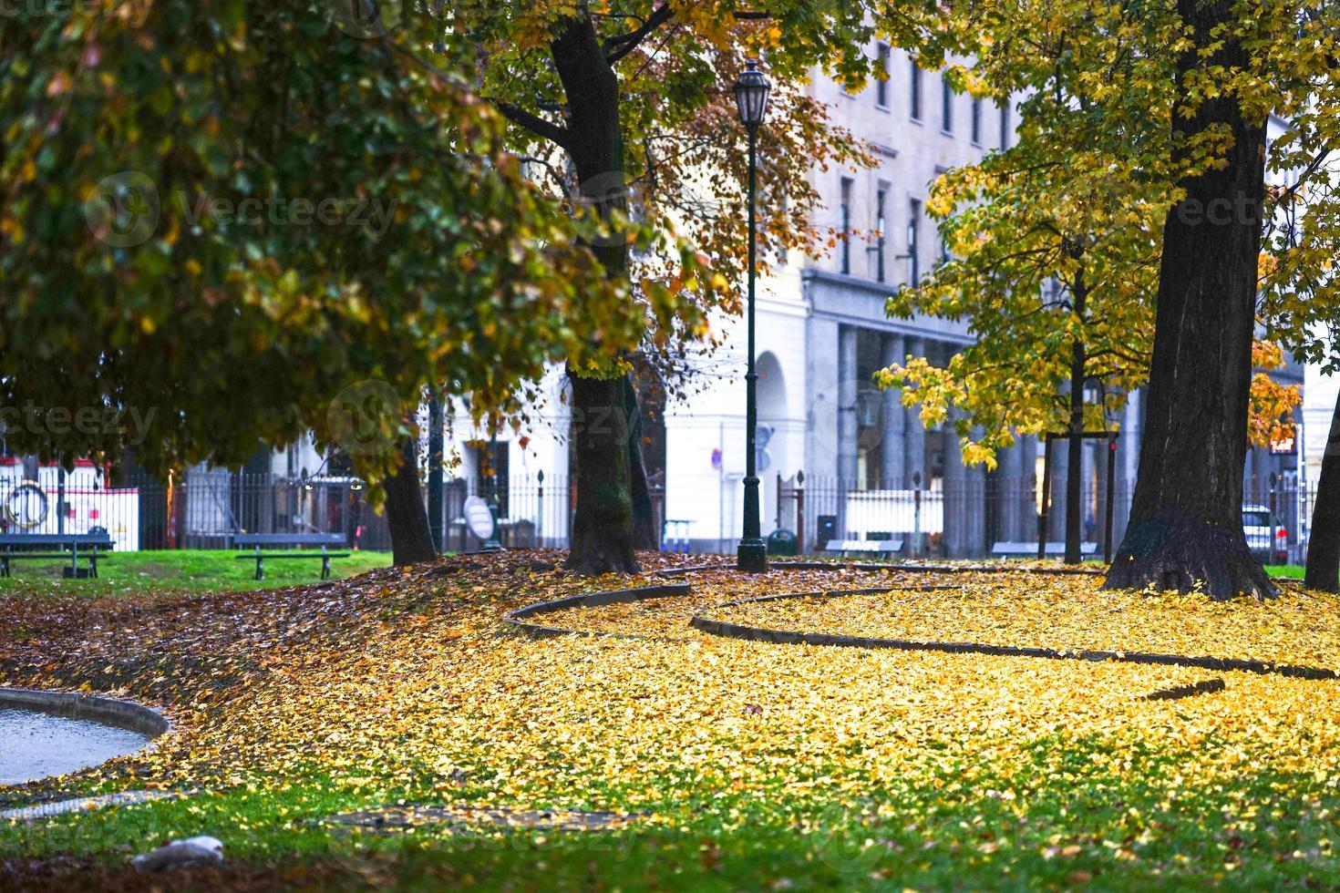 herfst in het stadspark foto