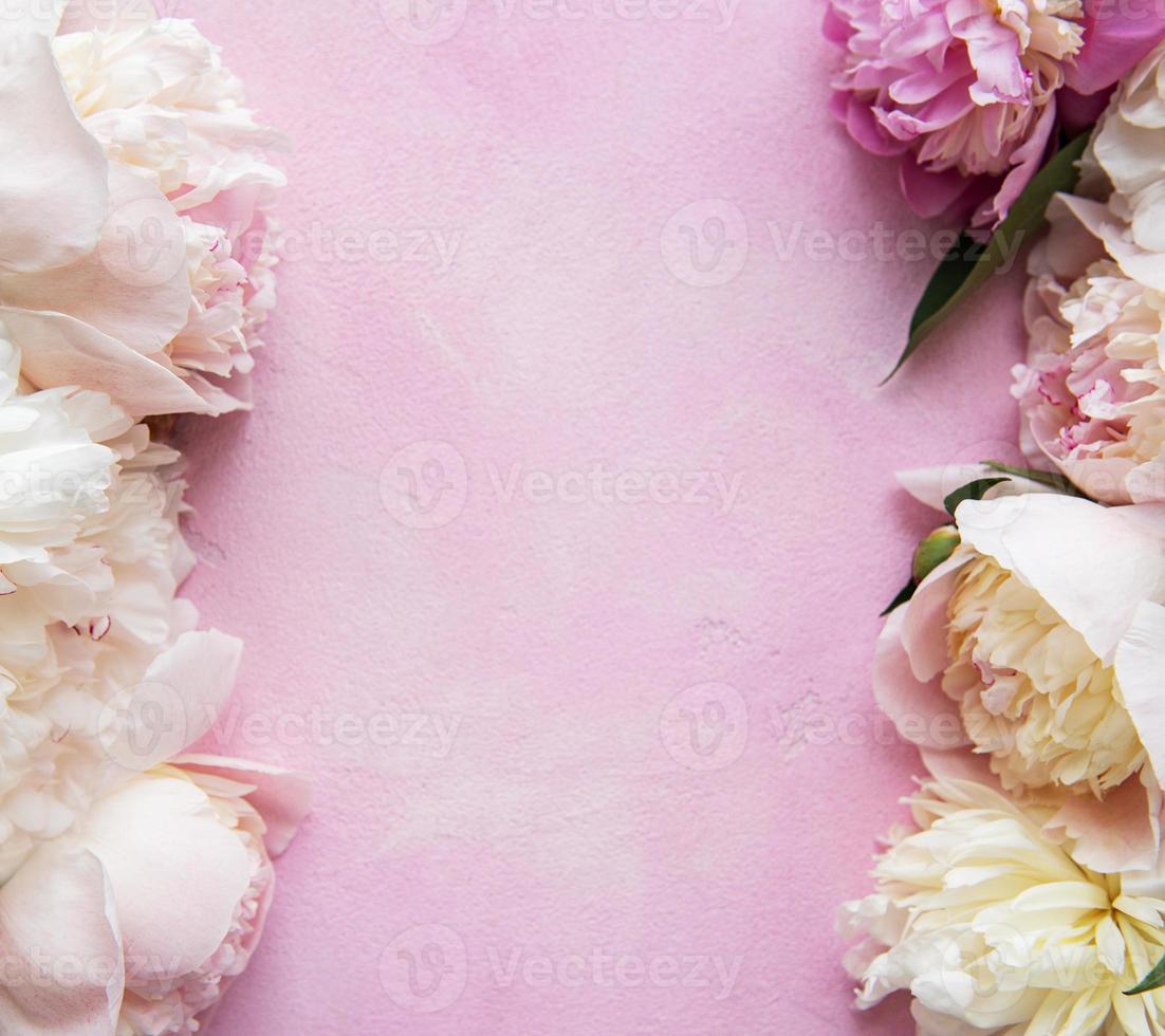 achtergrond met roze pioenrozen foto