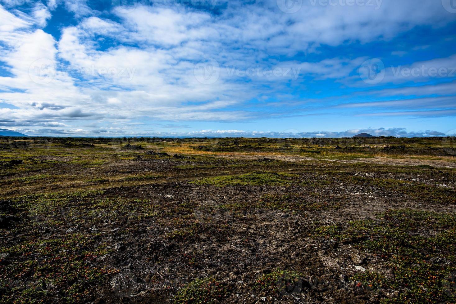 2021 08 13 myvatn lavasteen 4 foto