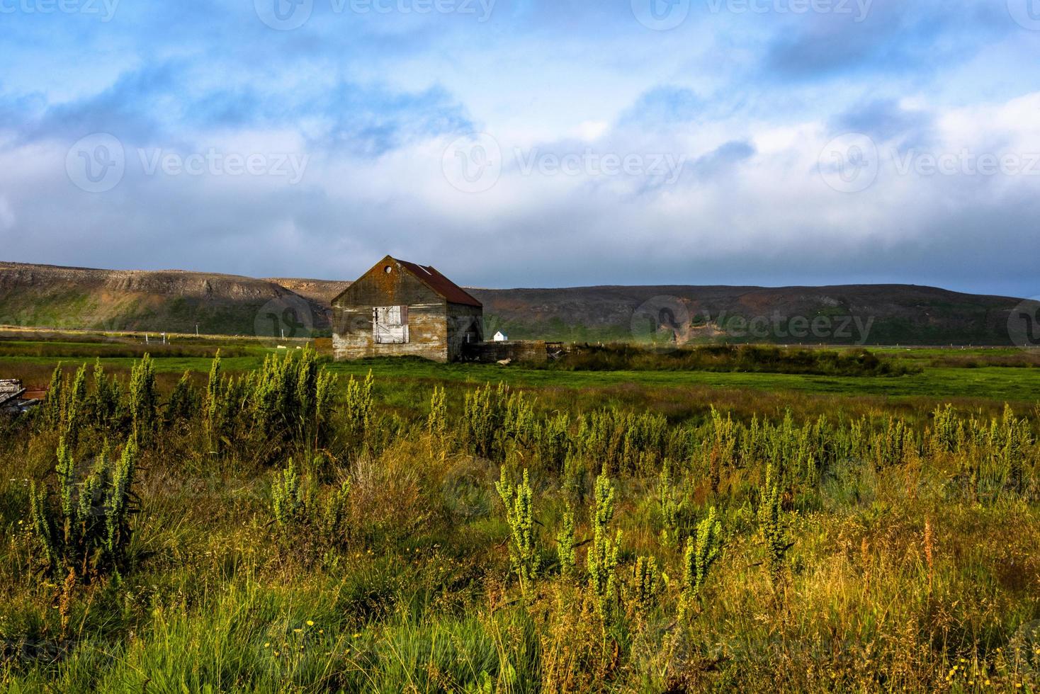 2021 08 13 tjornes boerderij 2 foto