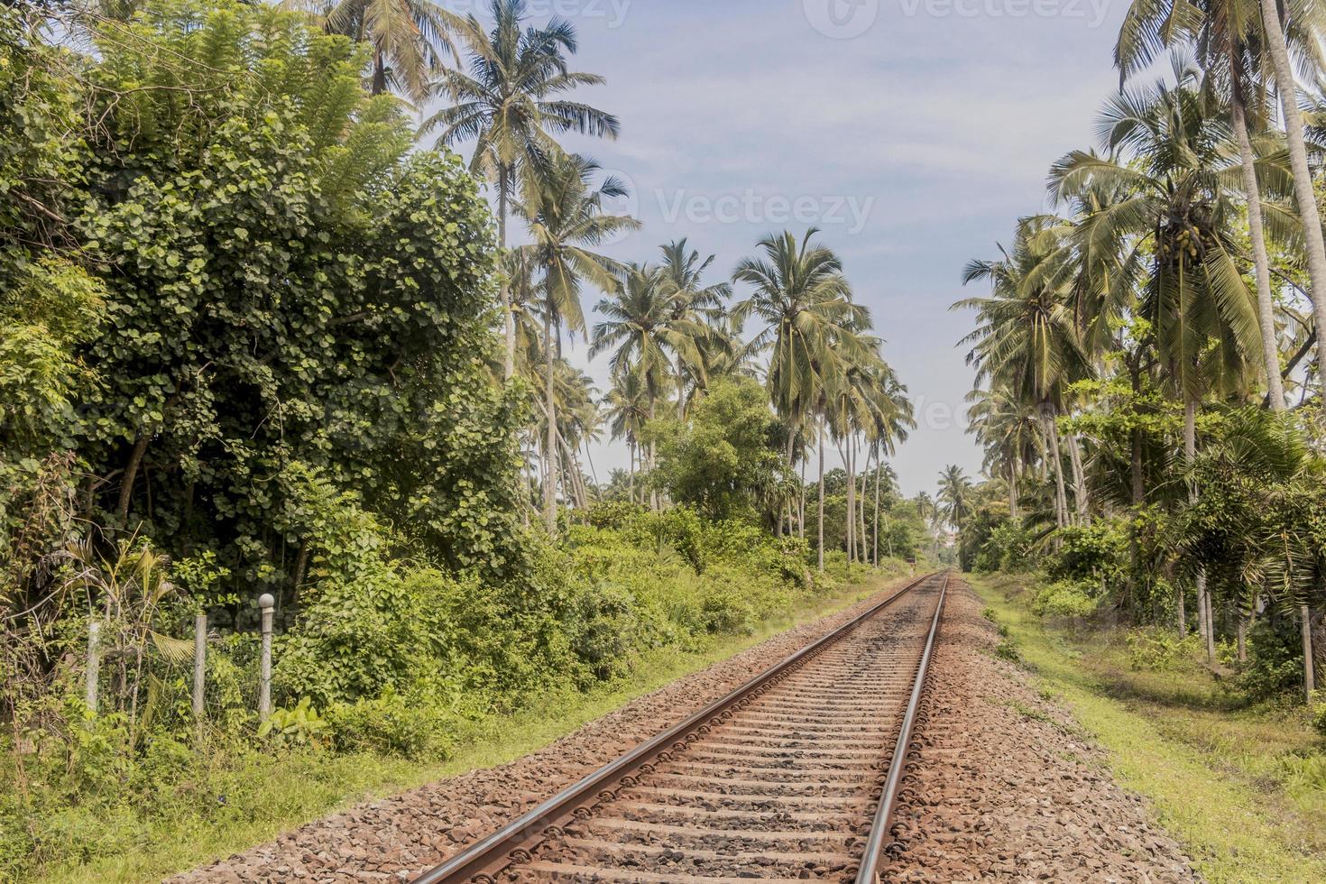 treinsporen in sri lanka. tropisch landschap. foto