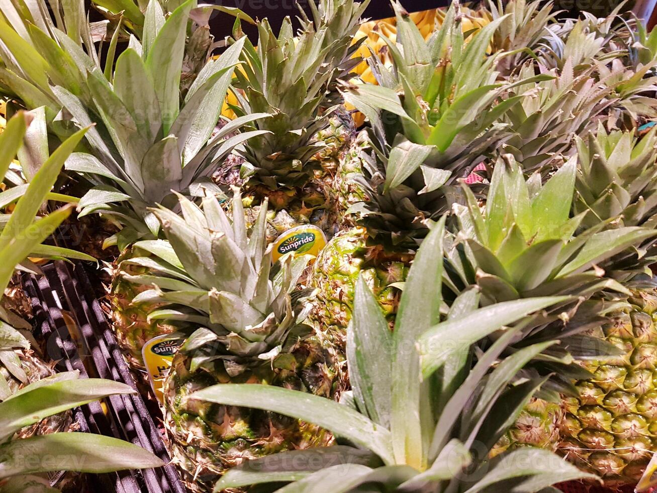 ananas vers fruit en rijk aan antioxidanten, vitamine en vezels op trendy munt. foto