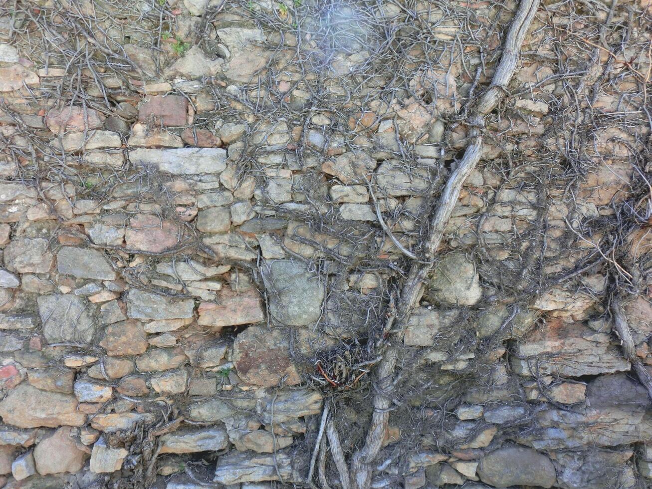 rots en muur textuur natuur organische achtergrond textuur en poeder marmer vloeistof. foto