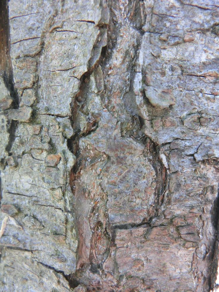 rots en muur textuur natuur organische achtergrond textuur en poeder marmer vloeistof. foto