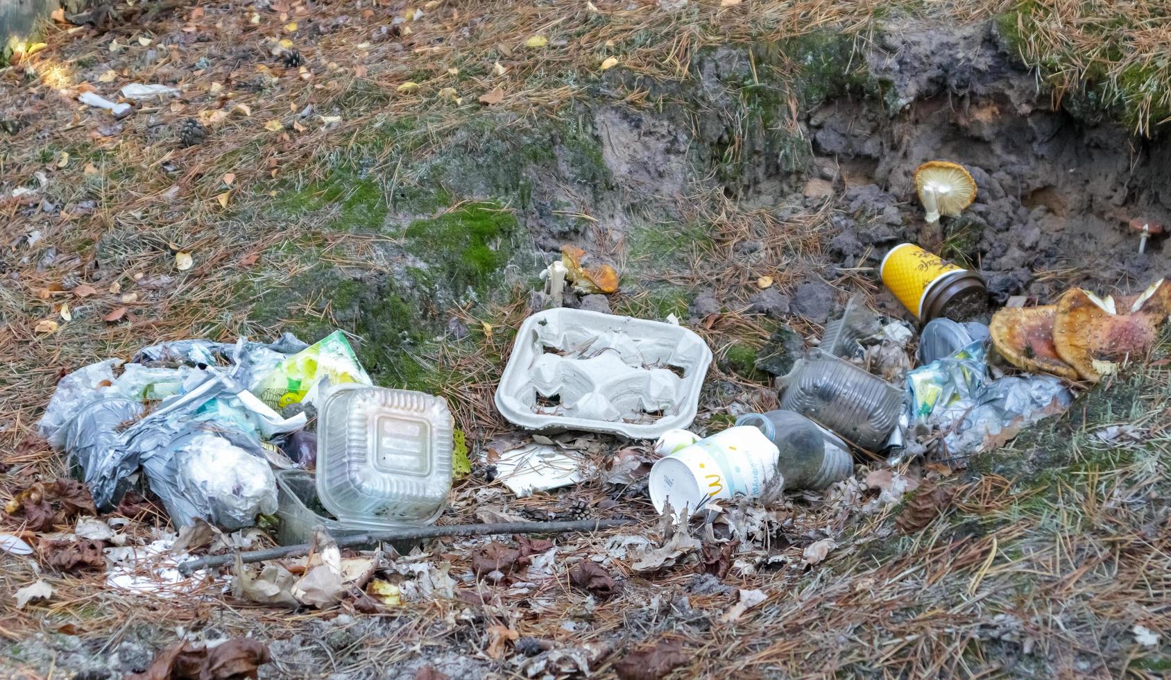 vuilnisbelt in het bos, vervuiling van de natuur. mensen gooiden illegaal afval in het bos. het concept van mens en natuur. vuile omgeving vervuilend afval in de buurt van het wandelpad in het bos. foto