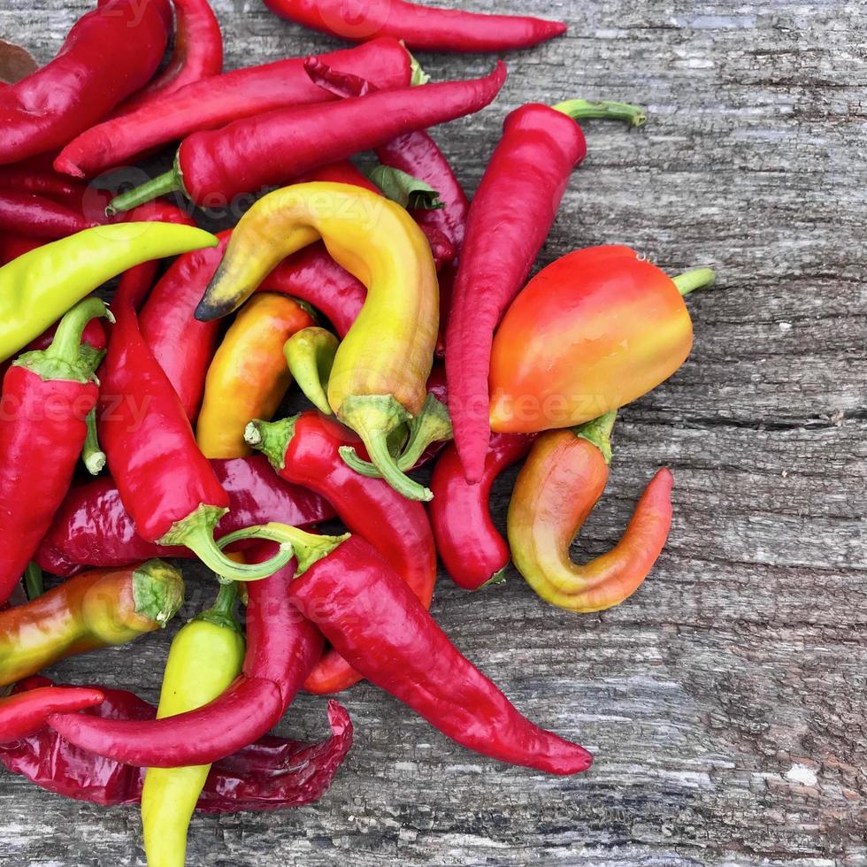 foto op thema lange rode hete chili peper