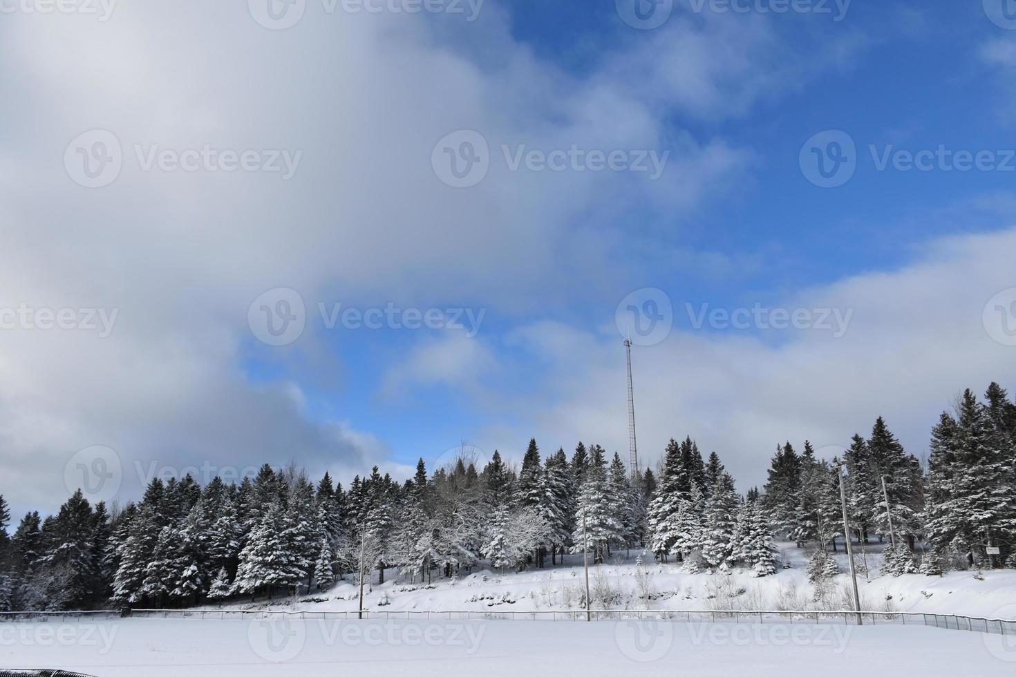 het recreatiegebied in de winter foto