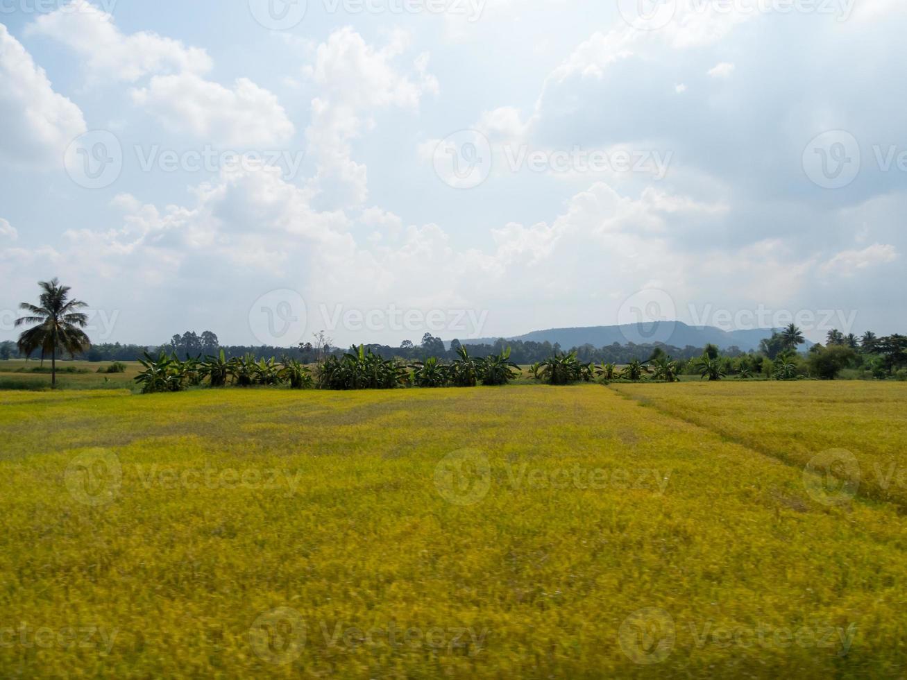 weiden en velden in de lucht zijn er wolken foto