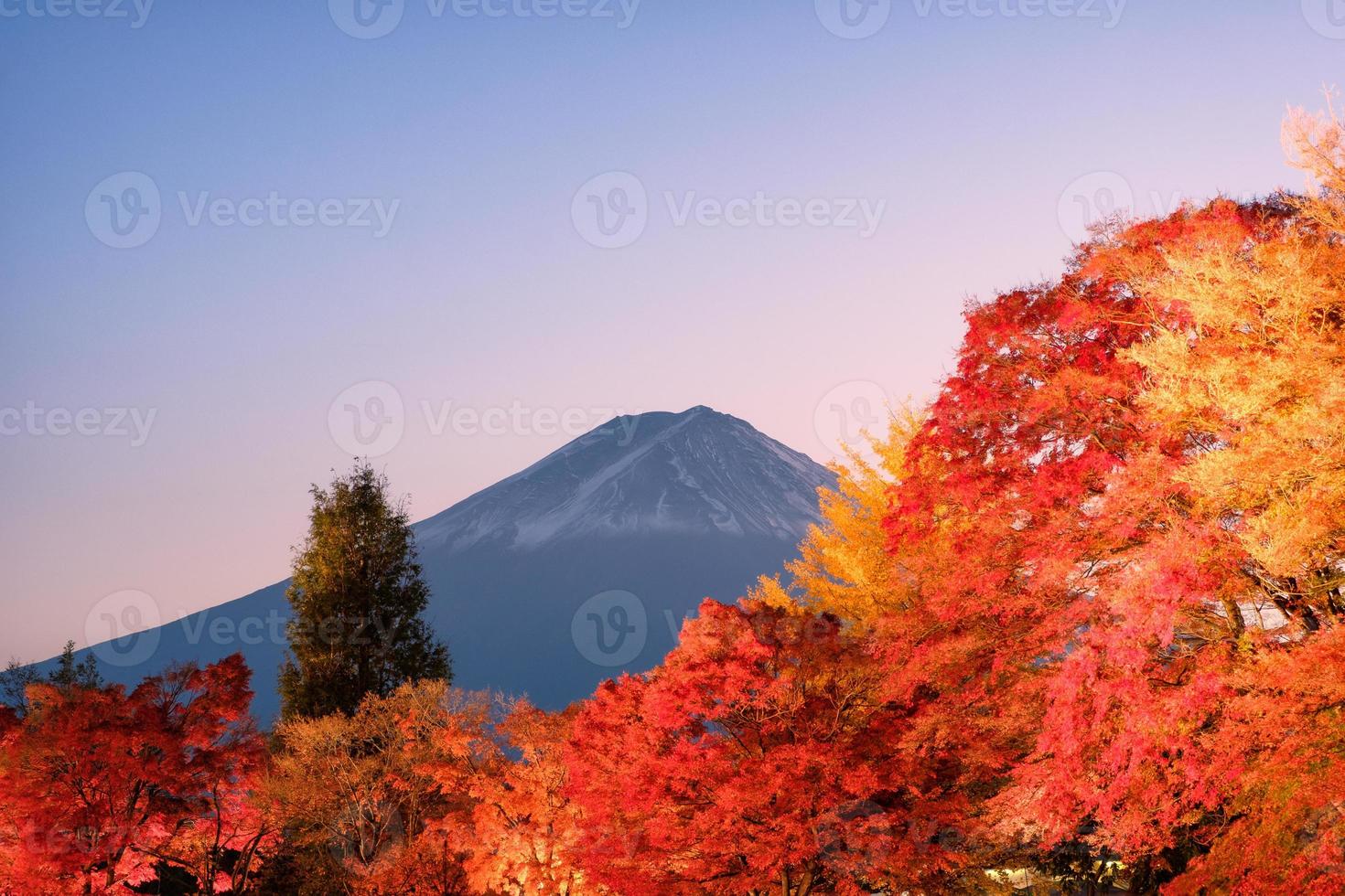 zet Fuji op over de rode esdoorntuin van het oplichtende herfstfestival in het Kawaguchiko-meer foto