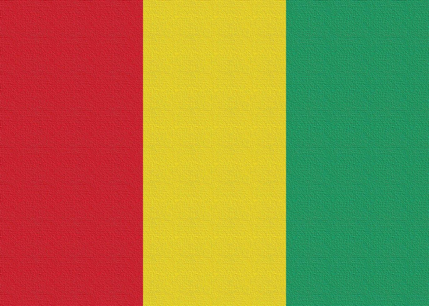 illustratie van de nationale vlag van guinea foto