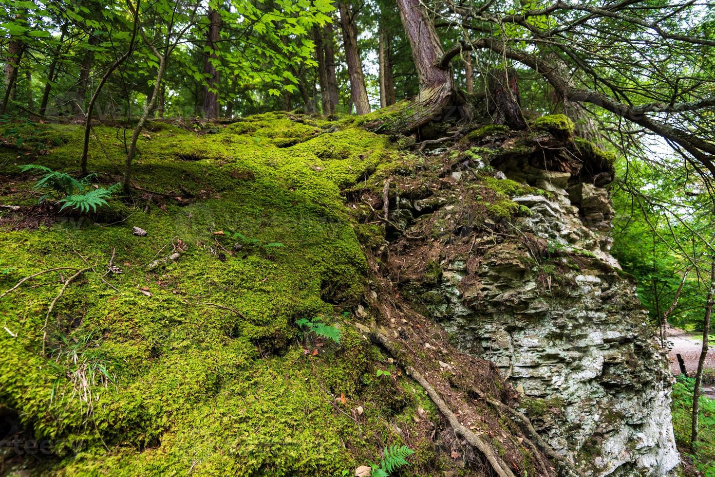 robert h treman State Park Gorge Trail foto