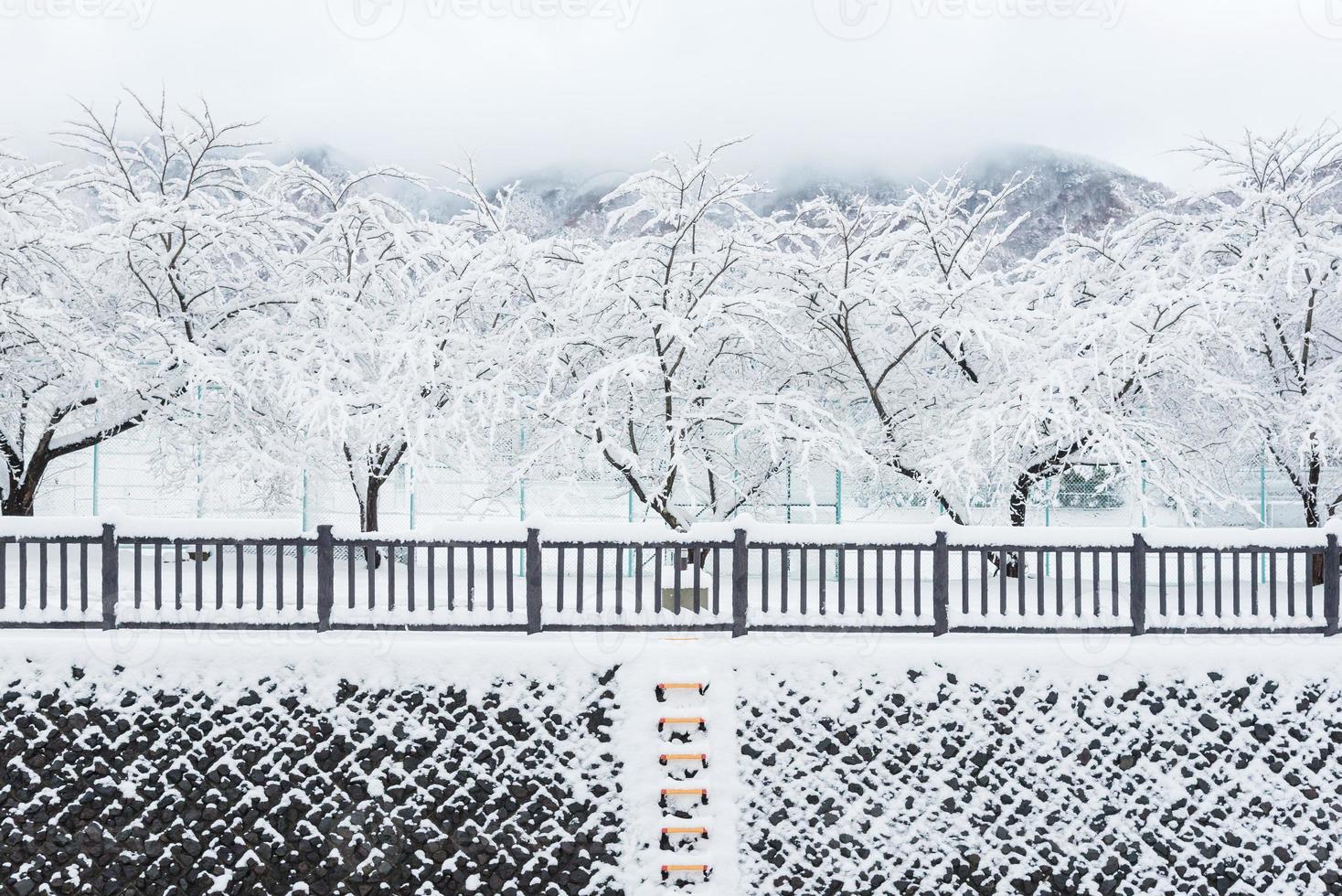 verse witte sneeuw valt in het openbare park in het winterseizoen in Kawaguchiko, Japan foto