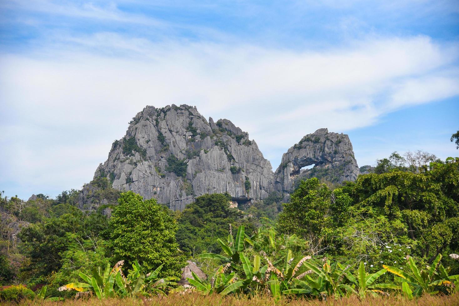 prachtige rotsachtige bergen op blauwe hemelachtergrond, natuurstenen bergen met plantenboom in het park foto