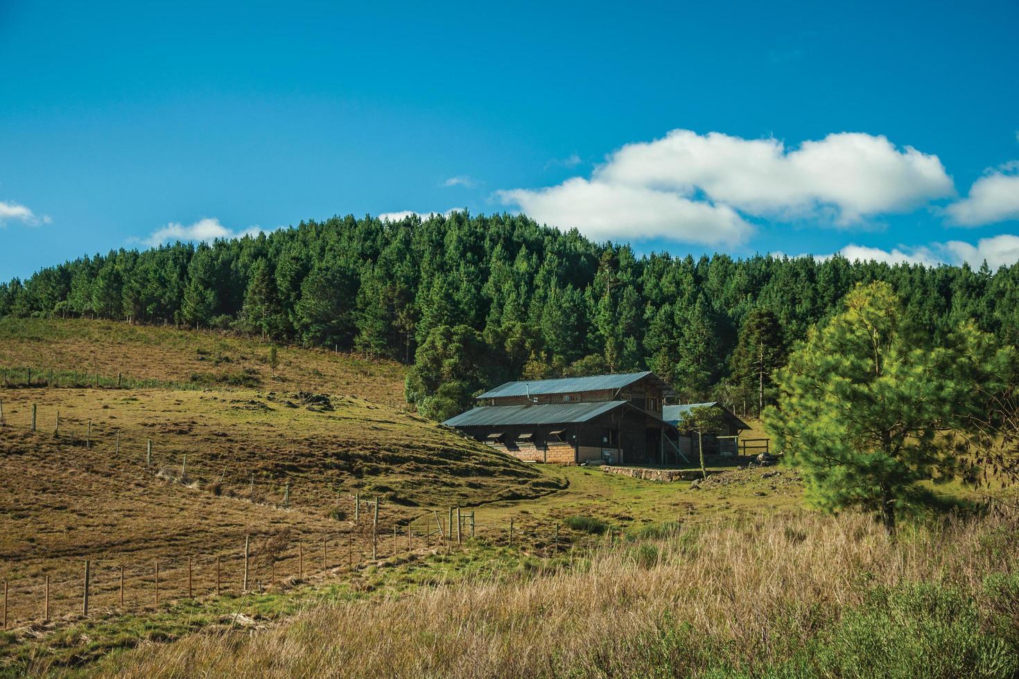 huis op een heuvel bedekt met droge struiken en groene bosjes op laagland genaamd pampa's, op een zonnige dag in de buurt van cambara do sul. een klein stadje in het zuiden van Brazilië met verbazingwekkende natuurlijke toeristische attracties. foto