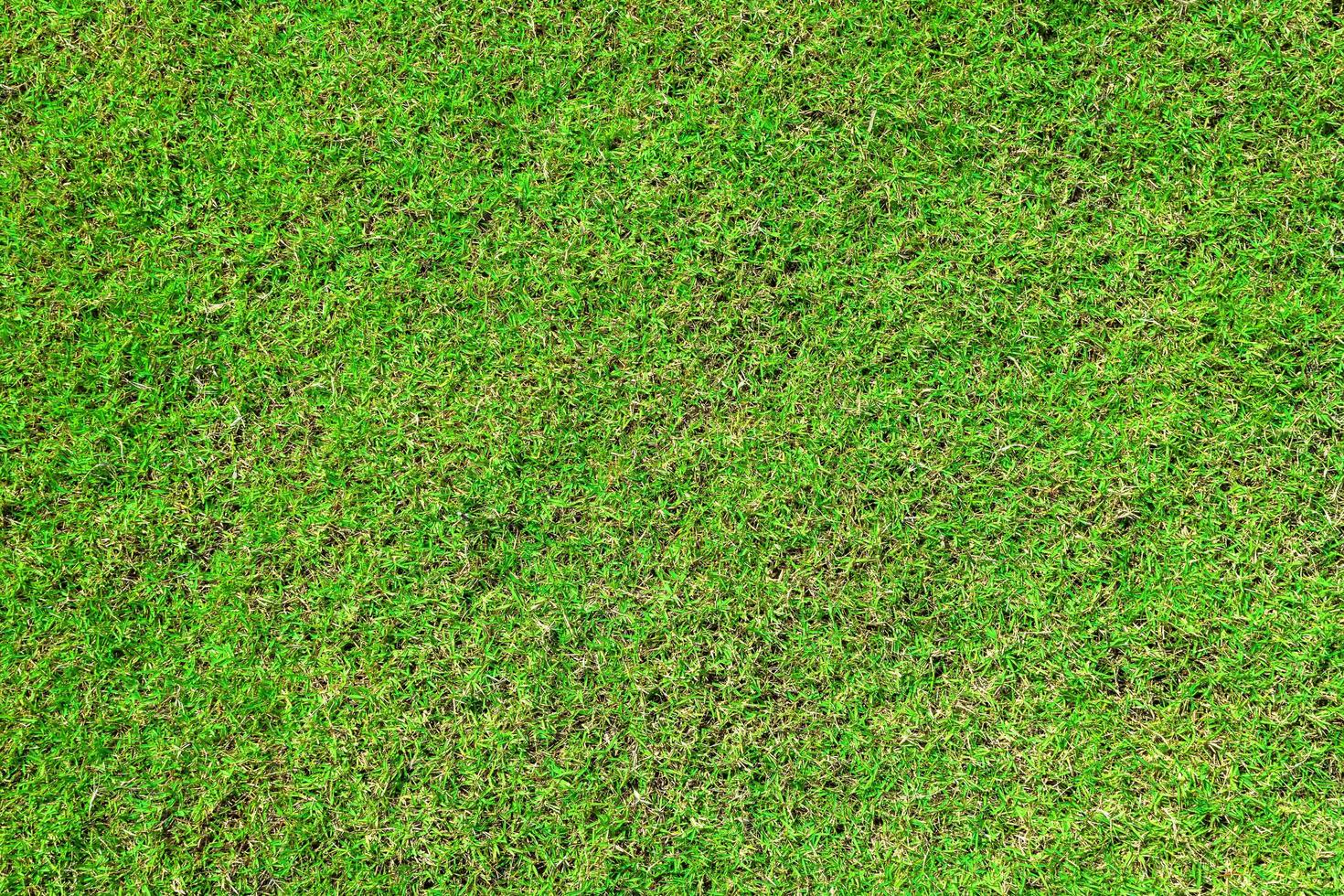groen gras grond textuur achtergrond in de frisse lente. foto