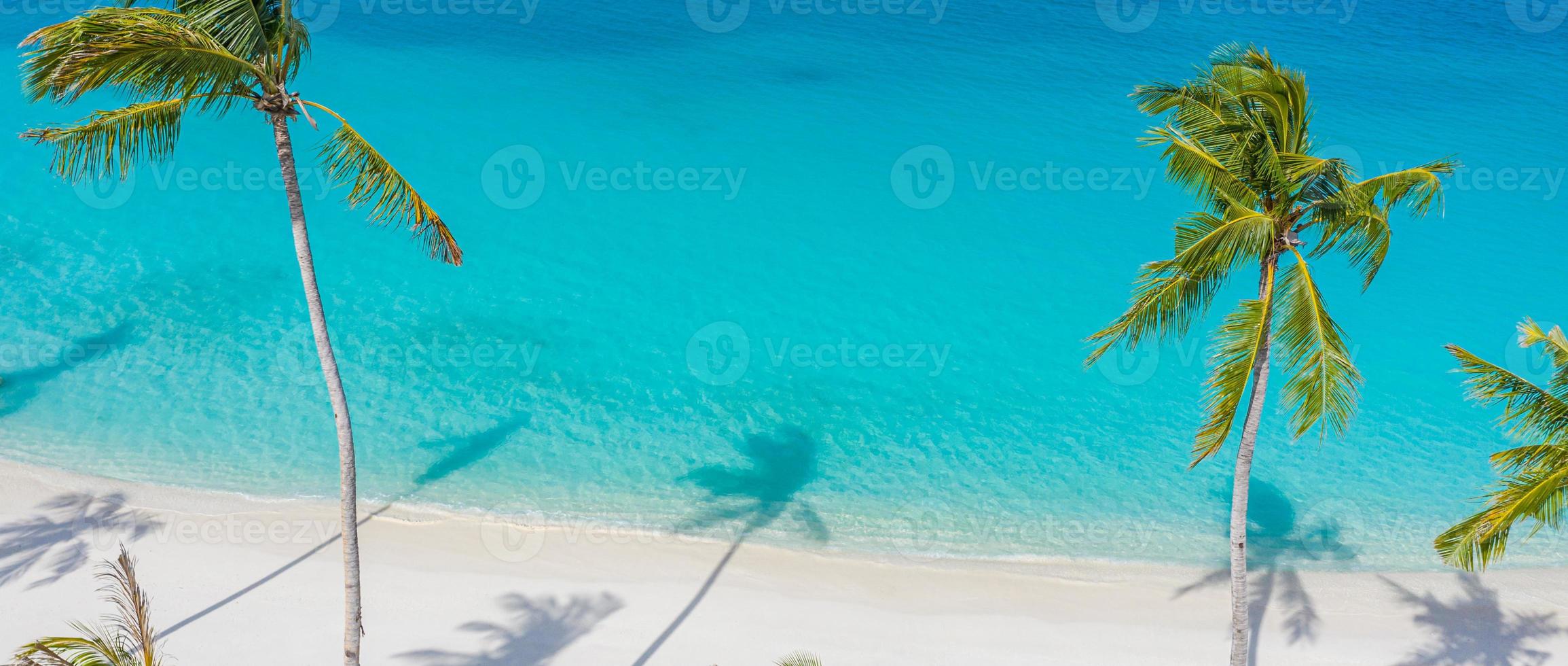 luchtfoto strand landschap. minimalistisch uitzicht op het strand van drone of vliegtuig, palmschaduwen in wit zand in de buurt van blauwe zee met prachtige rimpelingen en golven. perfecte zomer strand landschap banner. exotische blauwe zee foto