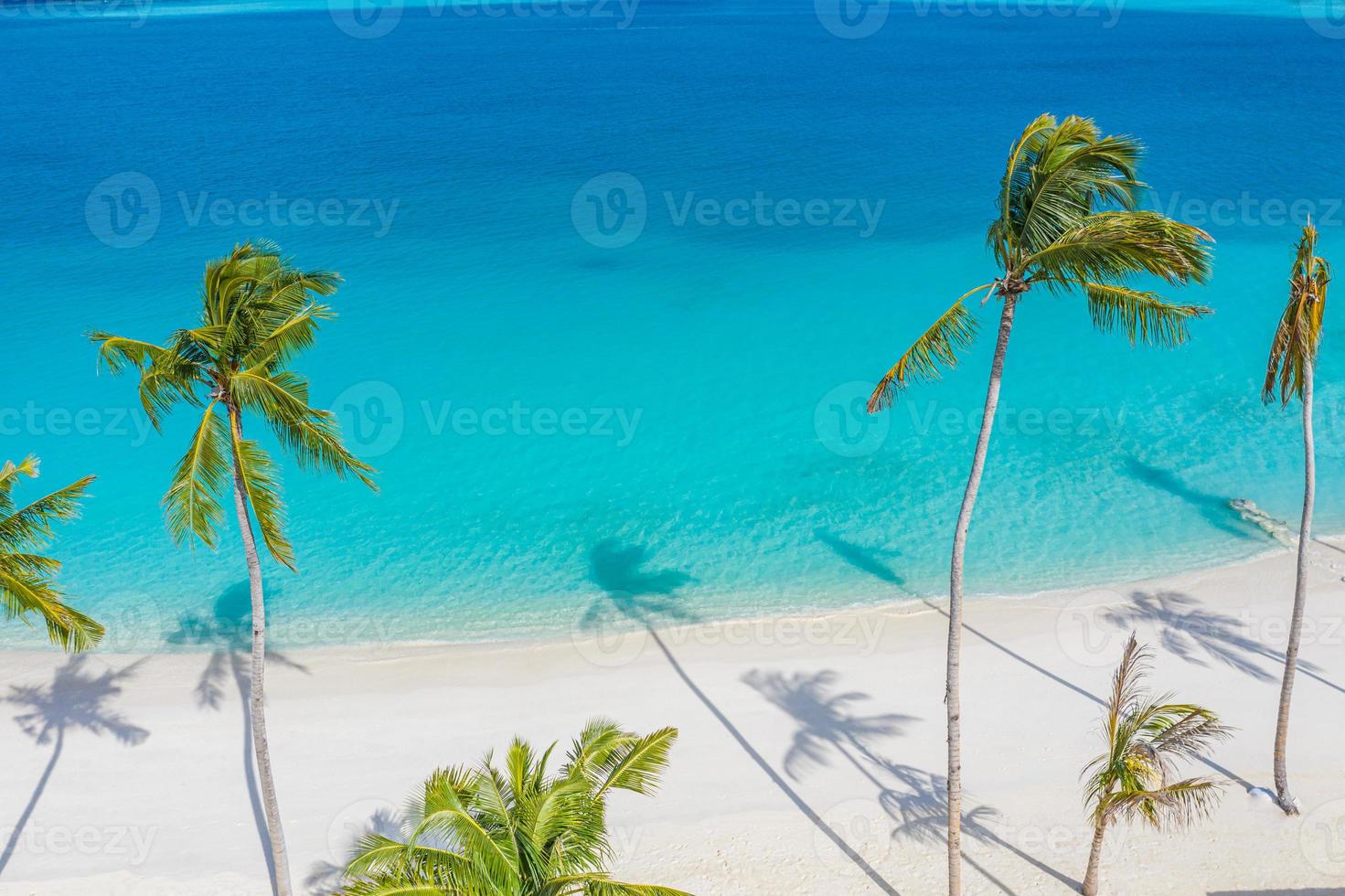 bovenaanzicht luchtfoto drone shot van prachtig wit zandstrand met groene kokospalmen en kristalhelder zeewater in de zomer foto