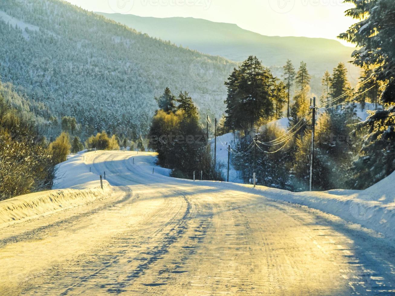 rijden bij zonsopgang door bergen en bossen in noorwegen. foto