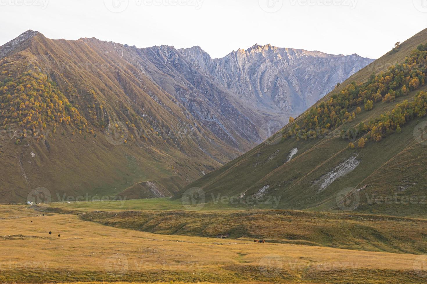 prachtig panorama van de bergachtergrond van de Truso Valley. Georgische flora en fauna. foto