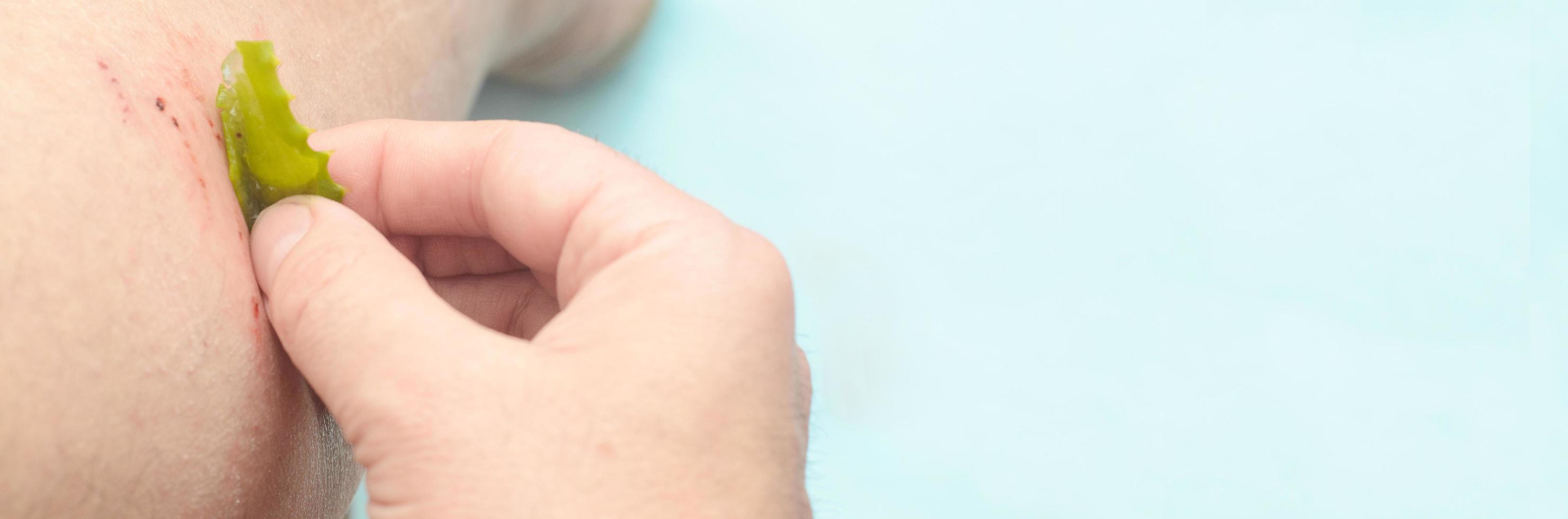 zomer picknick sandwiches op de plaat in meisje hand.gezonde levensstijl. foto