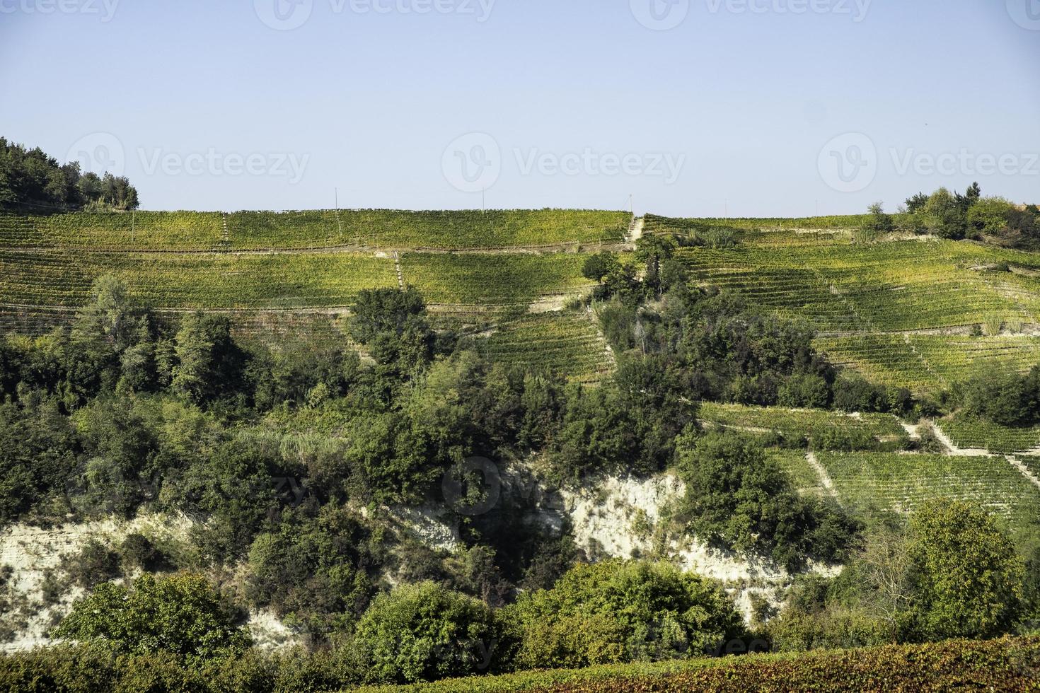 de heuvels vol wijngaarden van santo stefano belbo, het gebied van muscatwijn in piemonte, direct na de oogst in de herfst foto