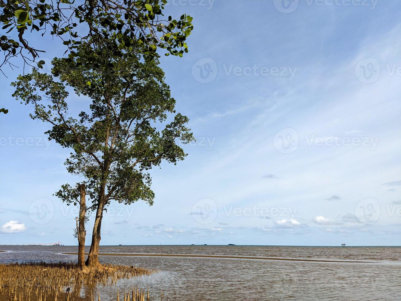 prachtige foto's van het landschap aan de kust van ambalat, oost kalimantan, indonesië foto