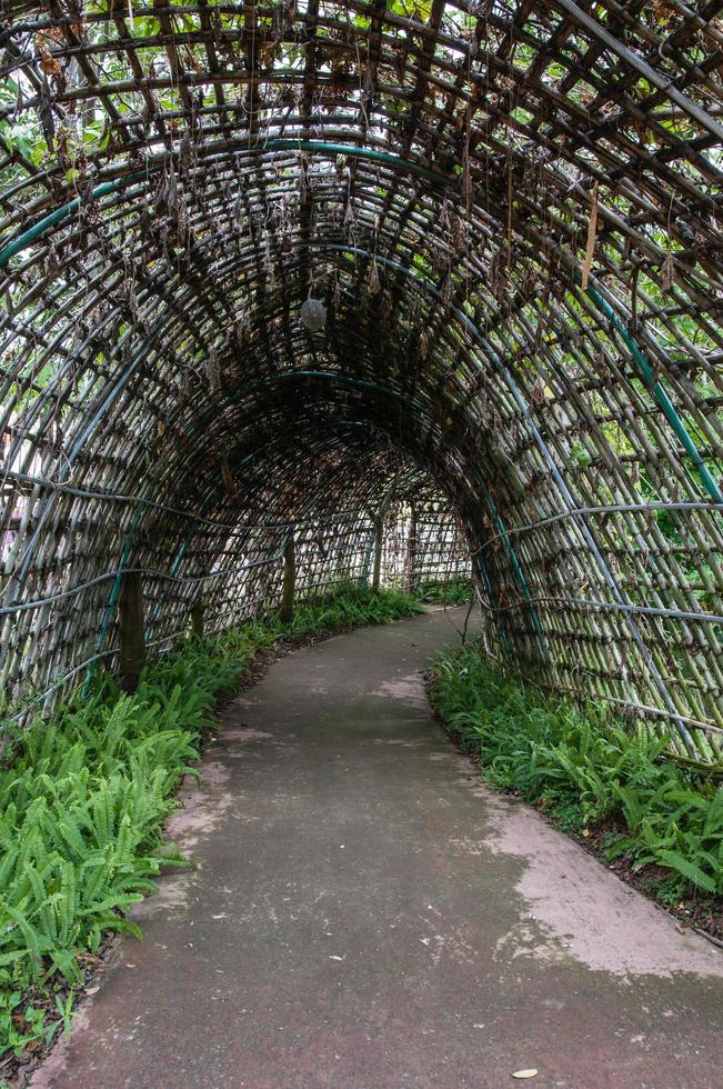 bloementuin met kleurrijke achtergrond. foto