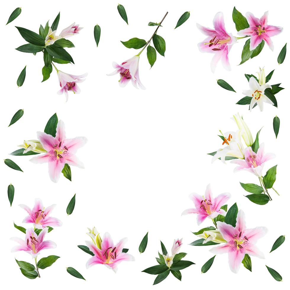 bloemlelie op een witte achtergrond met kopie ruimte voor uw bericht foto
