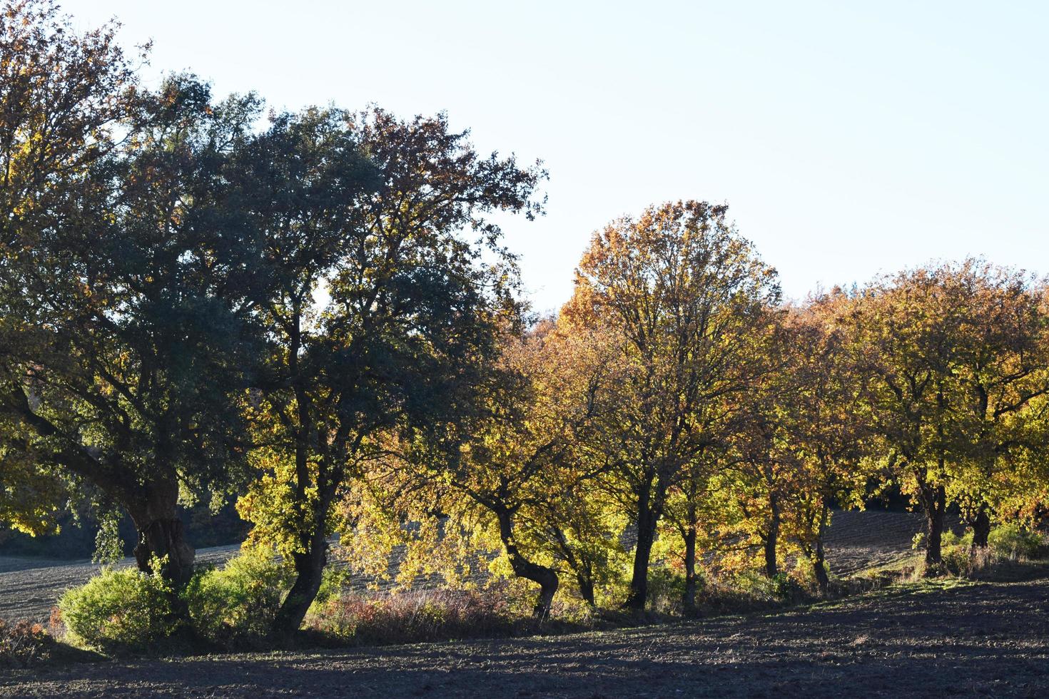 Toscaans landschapsthema foto