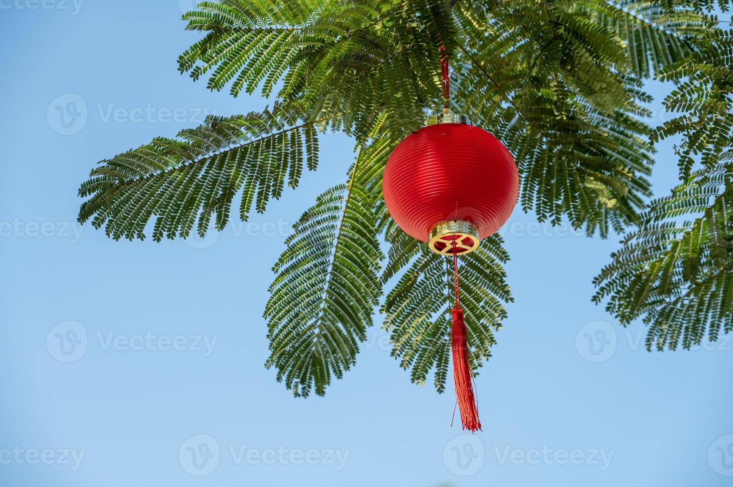 rode lantaarns worden opgehangen aan de bomen onder de blauwe lucht, met het Chinese woord fu, wat geluk betekent foto