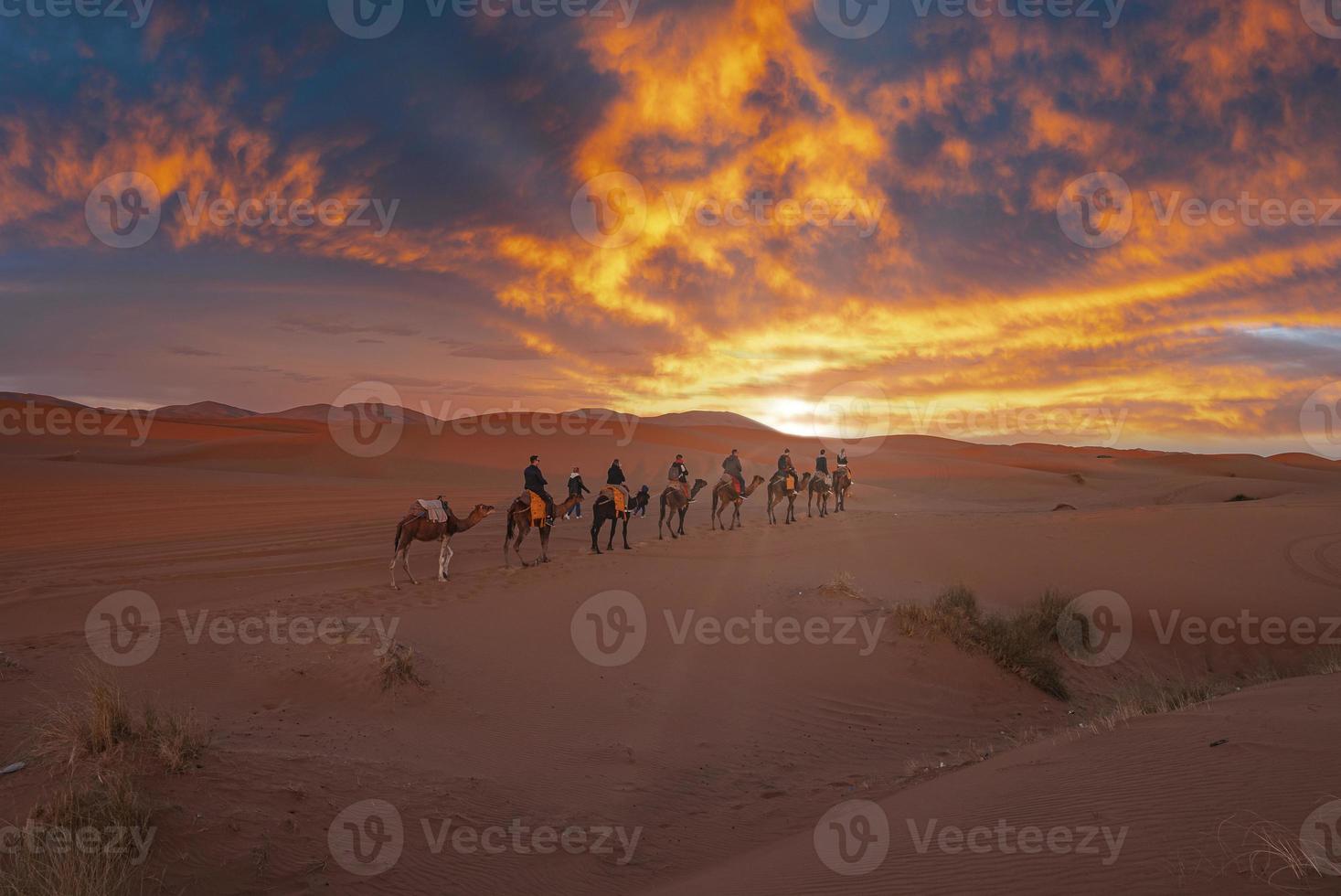 karavaan van kamelen met toeristen die door het zand in de woestijn gaan foto