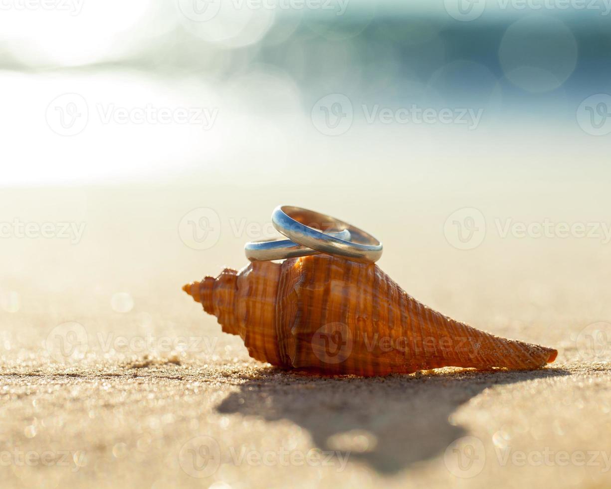 trouwringen op het strand gezet. foto