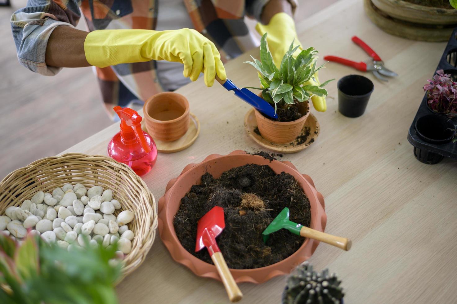 senior man plant met tuingereedschap op houten vloer, hobby en vrije tijd concept foto