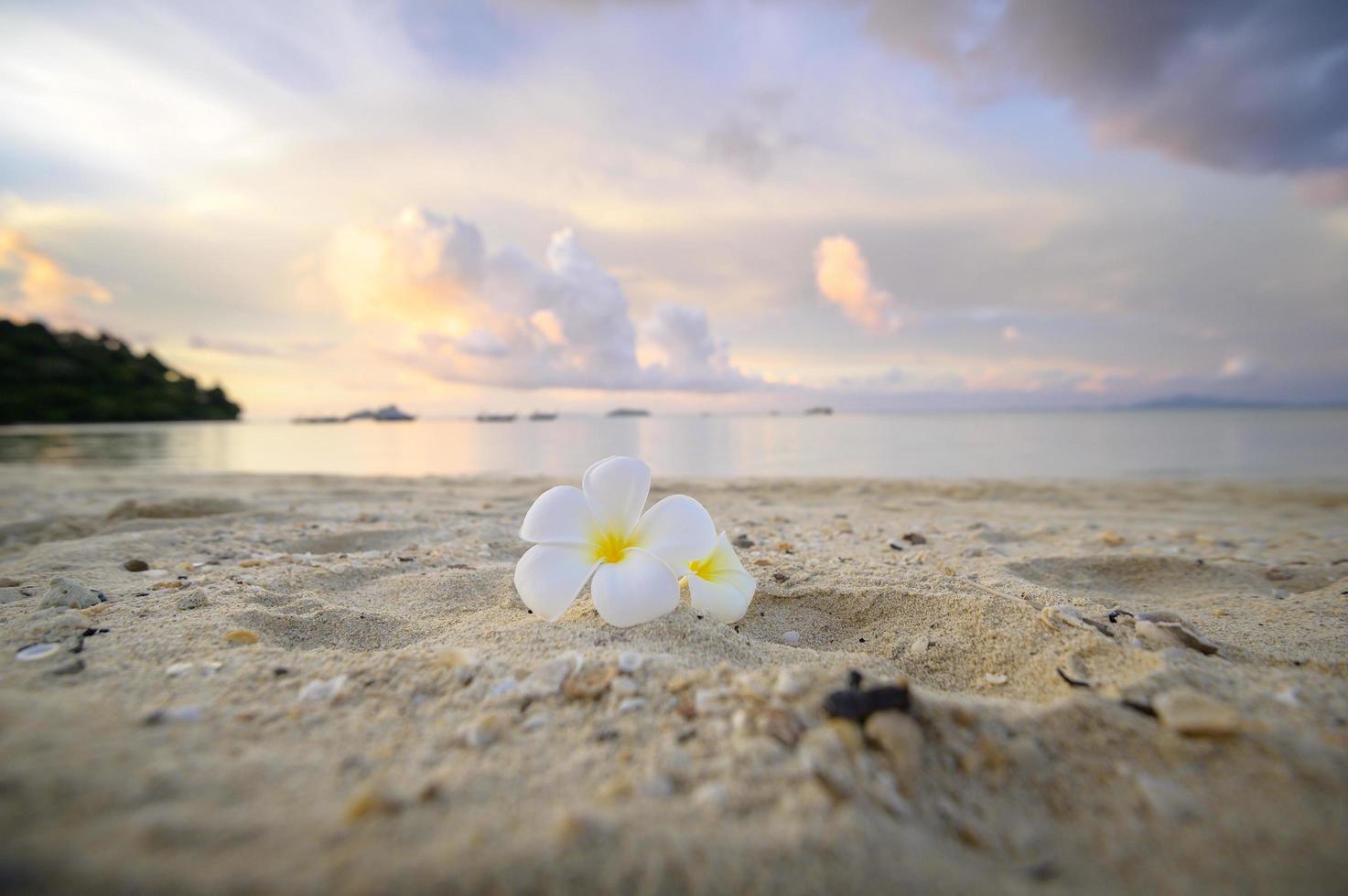 prachtig uitzicht op het phi phi-eiland bij zonsondergang in thailand, reisbestemmingsconcept. foto