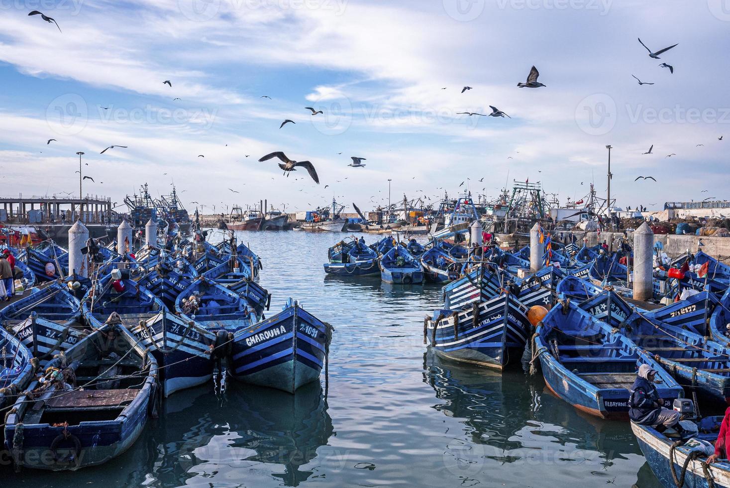 zeevogels zweven over houten blauwe vissersboten verankerd in de jachthaven foto