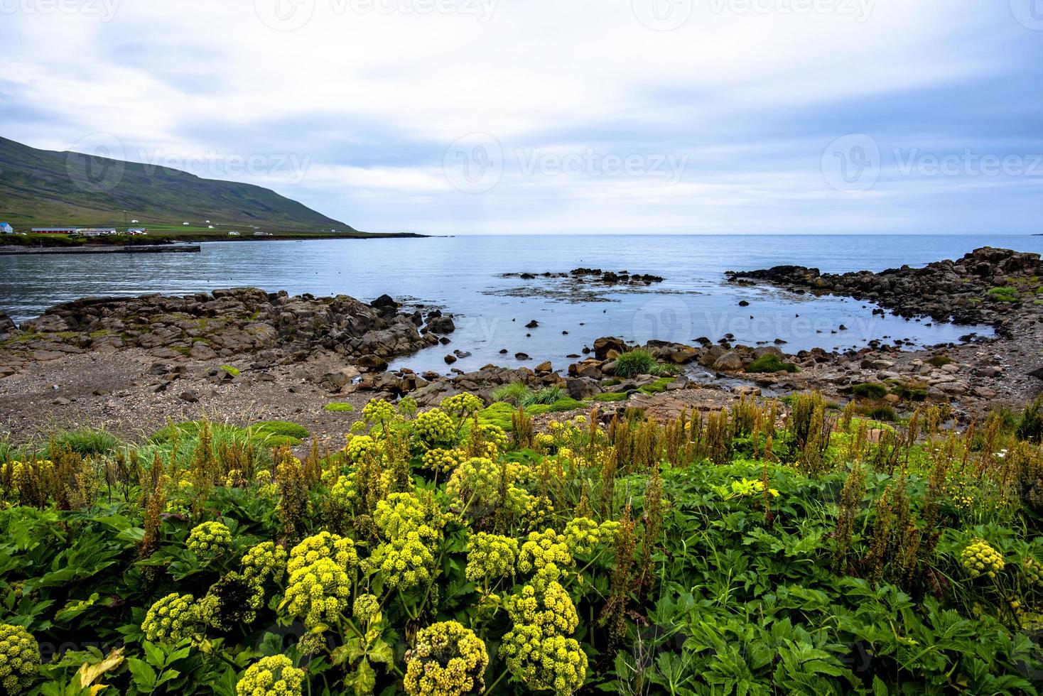 2021 08 16 borgarfiordur eystri ijslands strand foto